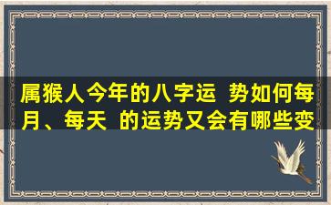 属猴人今年的八字运  势如何每月、每天  的运势又会有哪些变化